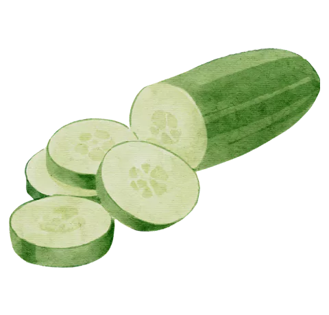 Cucumber 1